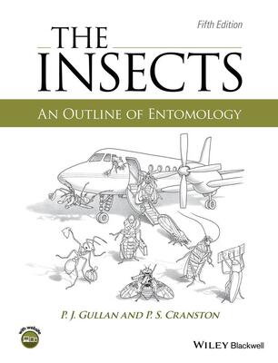 Insects,The [Final Sale]