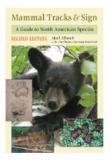 Mammal Tracks And Sign