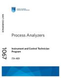 Process Analyzers