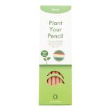 Zzz- Sprout 8 Pack Graphite Pencil Colored