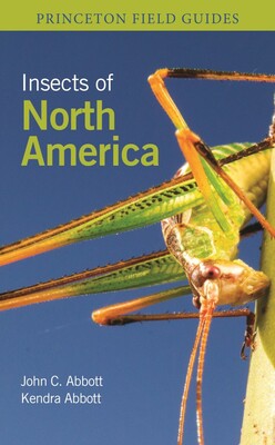 Insects Of North America
